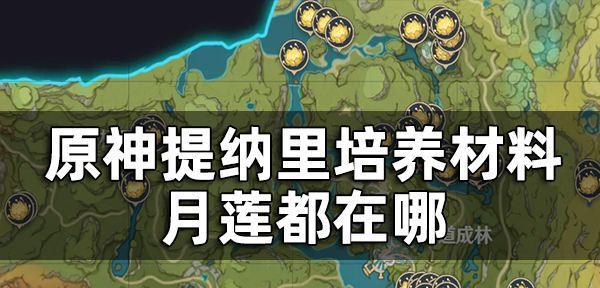 原神提纳里武器搭配攻略